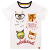 Harry Bear Girls Cat Pyjamas, White