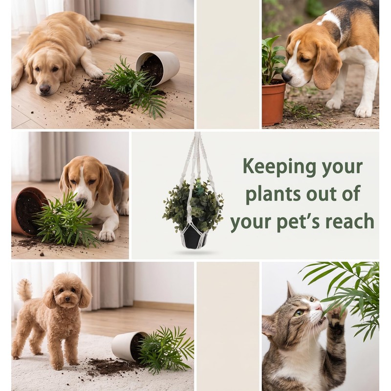 2 Pcs Small Macrame Plant Hangers, Small Plant Hanger