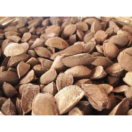 Treasured Harvest In Shell Brazil Nuts - 5 lb. - Treasured Harvest Brand