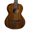 Luna Lizard Mahogany Tenor Ukulele Package