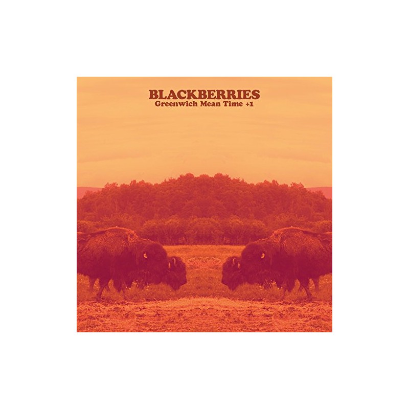 Greenwich Mean Time+1