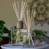 Rosy Rings Forest Botanical Reed Diffuser 4oz - Lasts 6-12