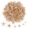 100 Pcs Small Starfish Star Sea Shell Beach for Craft
