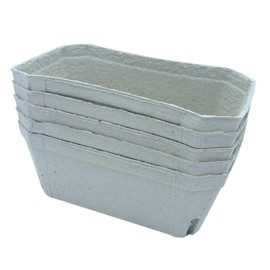 Bramley & Sage 500g Biodegradable Fibre Fruit Punnets (Various Quantities) (25)