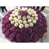 NIKA SEEDS - Vegetable Flowering Kale Mix (Ornamental Cabbage) Large
