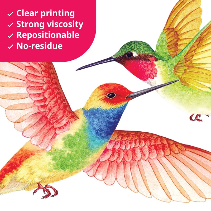 BASHOM DS2-4002 Hummingbird Wall Sticker Birds Wall Sticker Hummingbird Wall