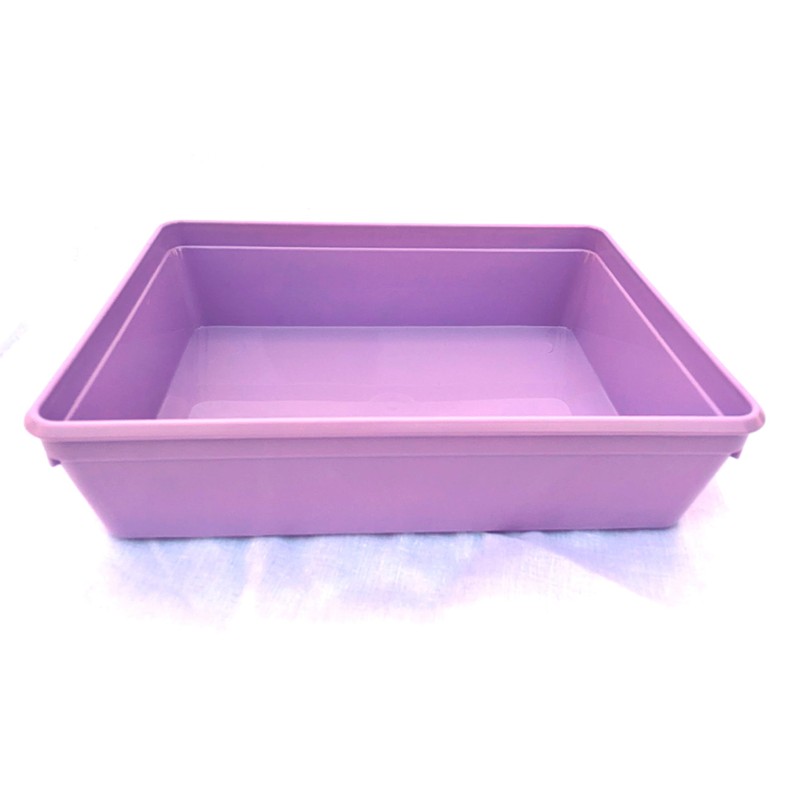 Instrument tray – 19cm x 14cm x 5.5cm. polypropylene (Purple)