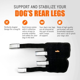 NeoAlly - 3-in-1 Long Rear Leg Hock Brace, Dog Leg Brace for Rear Leg with Rigid & Spring Inserts, Hock and Ankle Support, Dog Leg Sleeve with Reflective Straps, Large, 1 Pair