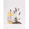 Sabong Liquid Lavender 500ML (Liquid Soap) / 사봉리퀴드 라벤다 500ML(액체비누)