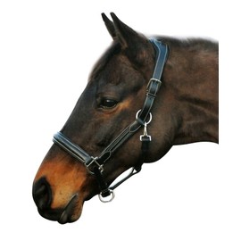 Henri de Rivel Stress Free Halter with Fancy Contrast Stitching | Color - Black | Size - Cob