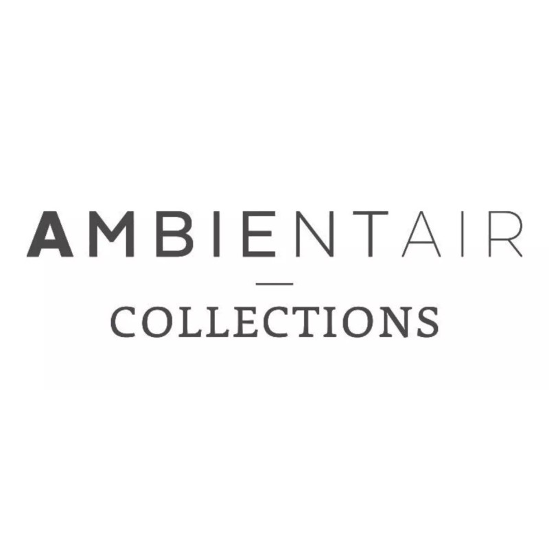 Ambientair Aromatizante Difusor Varillas Esencia Bambu 100ml Ambientair