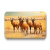 Australia Africa Mountains Landscapes 6 Rectangular Fridge Magnets 7 cm