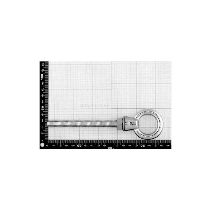 Dutyhook M12X120 Lifting Eye Bolt, Stainless Steel AISI 316