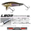 Megabass i-WING TRIPLE FRY Japanese Silver Lotus TF
