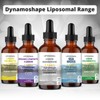 Magnesium Liposomal Supplement. Highly absorbable for Optimal Energy, Muscle Health,