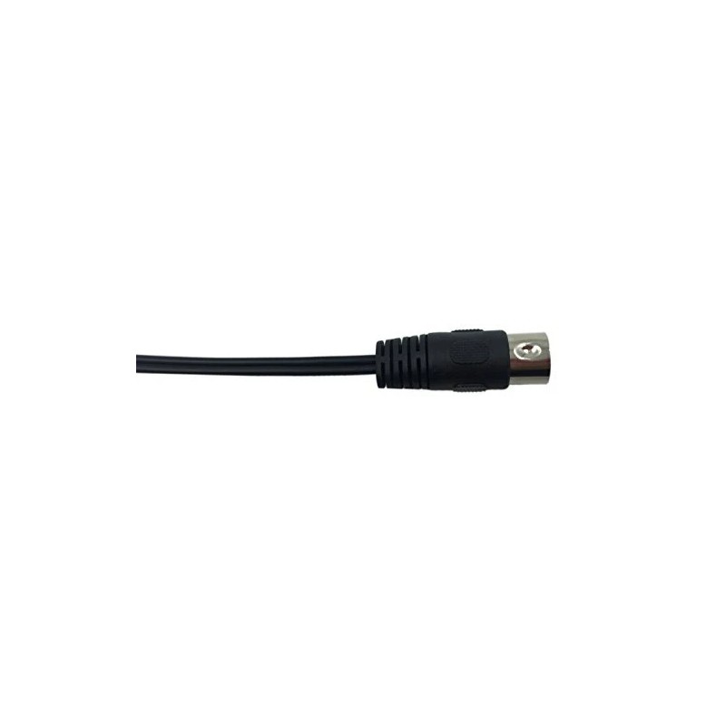 CERRXIAN Lemeng 5 Pin Male Din To 2 Rca Female