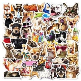50 Pcs Funny Animal Stickers Cute Animal Stickers Pack for Kids Adults Teens Waterproof Vinyl Furry Animal Stickers and Decals for Laptop Water Bottles Car Bicycle Skateboard Motorcycle Luggage