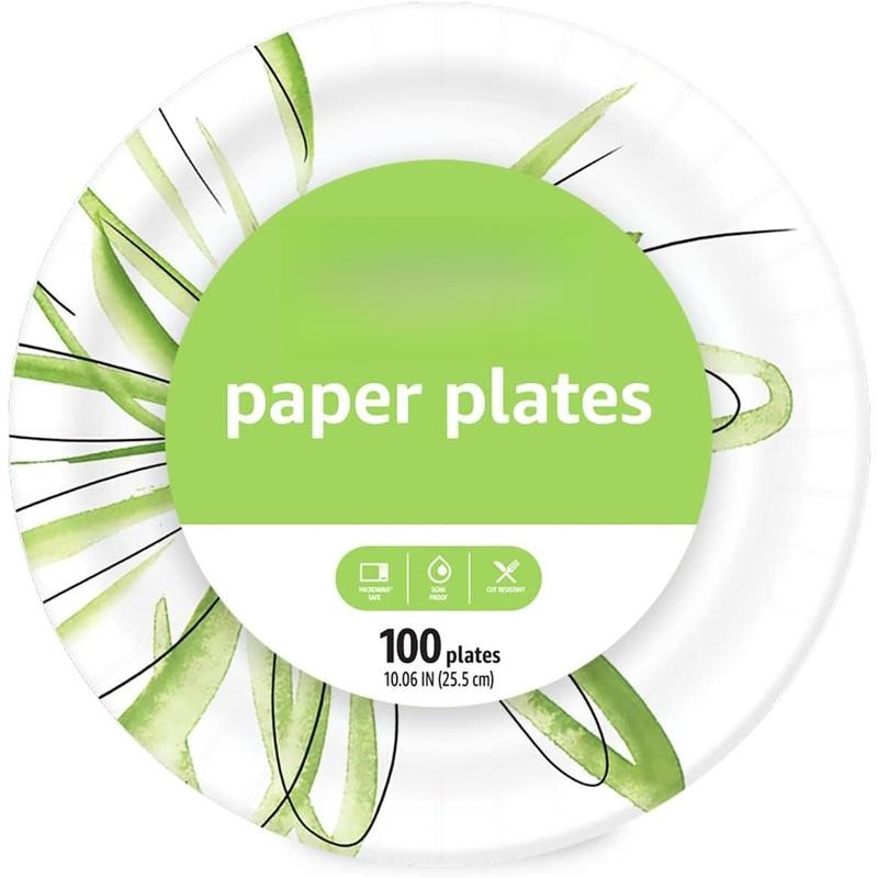 Basics Everyday Paper Plates, 10 Inch, Disposable, 100 Count -