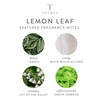 Thymes Countertop Spray - 16 Fl Oz - Lemon Leaf
