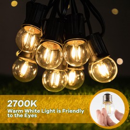 Grensk E26 Low Light Bulbs,1Watt G40 Edsion Small LED Light Bulbs Equal to 10w Incandescent,2700k Warm White for Bedside Lights, Wall Lights, Porch Lights, Courtyard Light Strings,230V,2Pcs