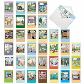 NobleWorks - 36 Assorted Box Set Funny Birthday Cards, Adult Humor with Envelopes (36 Designs, 1 Each) Humor B-day Greeting Card Bulk Variety Pack for Men and Women - Cake Time AC9375BDG-B1x36
