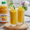 FixtureDisplays Dr. Smoothie 100% Crushed Mango Fruit Smoothie Mix 46