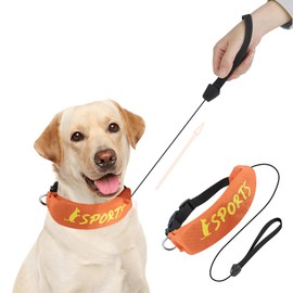 Lesypet 2 in 1 Retractable Dog Leash Collar, Hands-Free Dog Walking Collar with Retractable Leash for Medium Large Breed Dog Outdoor, Orange L