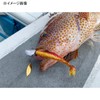 Xesta Shad Star 4.5" #W028KCBR Keimura Clear Blue Akalame