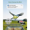 Smart Bird Feeder with Camera Outdoor: Solar Birdfeeder Cam for