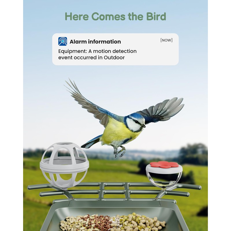 Smart Bird Feeder with Camera Outdoor: Solar Birdfeeder Cam for