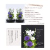 Art Four Seasons Flower Vs. Design SET Lira Preserved Flower