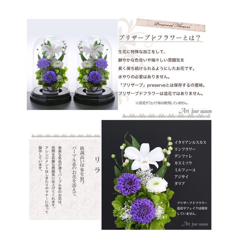 Art Four Seasons Flower Vs. Design SET Lira Preserved Flower