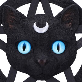 Nemesis Now Feline Worship Wall Plaque 25.5cm, Resin, Black, Cat Pentagram Hanging Wall Art, For Cat Lovers & Spiritual People, Cast in the Finest Resin, Expertly Hand-Painted