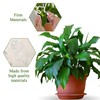 Monstera Plant Support, Stabilizer Supports Stakes for Indoor Plants, Plant
