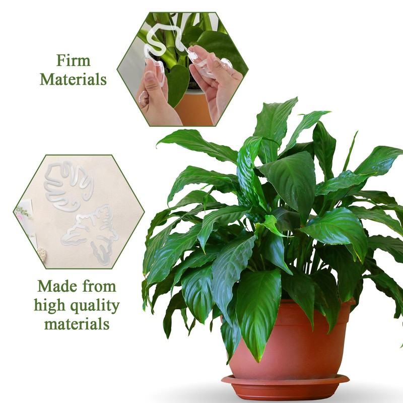 Monstera Plant Support, Stabilizer Supports Stakes for Indoor Plants, Plant