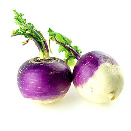 Rutabaga Seeds - Laurentian - 1 Lb ~152,000 Seeds - Brassica Napus - Farm & Garden Vegetable & Microgreens Seed - Non-GMO, Heirloom, Open Pollinated, Annual