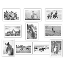 Beautiful Horses Greeting Cards - Set of 10 All Occasion 5x7 Note Cards with Envelopes. Blank Inside. Photos of Beautiful Horses in various farm and ranch settings.