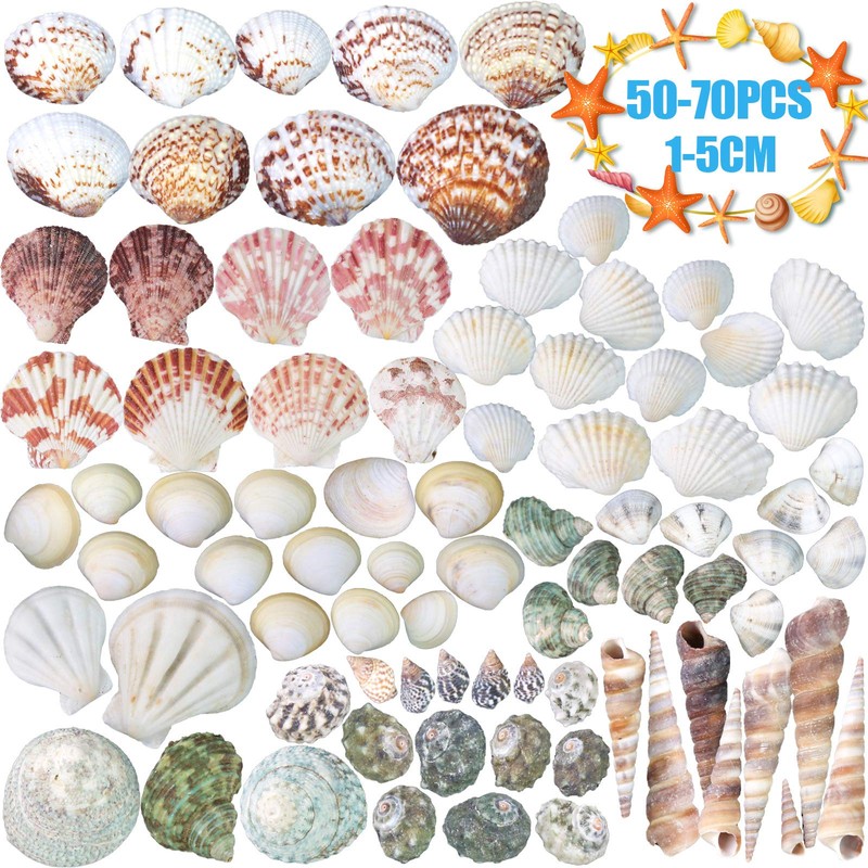 HAKACC Sea Shell Set, 50-70 PCS Assorted Natural Shells for