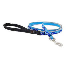 Lupine Reflective Dog Leash 6-Foot by 1/2" Wide Blue Paws