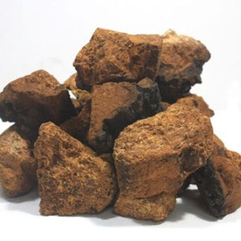 NS Home Shopping 차가버섯환 차가버섯 환 250g[33273219] Chaga Mushroom Powder 250g