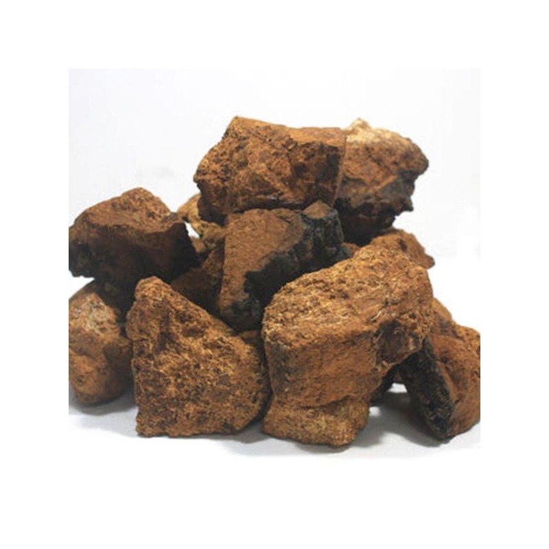 NS Home Shopping 차가버섯환 차가버섯 환 250g[33273219] Chaga Mushroom Powder