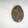 [Abalone Shell] Natural Seashell Dish, Smudging, Purifying, Cleansing, Meditation, White,