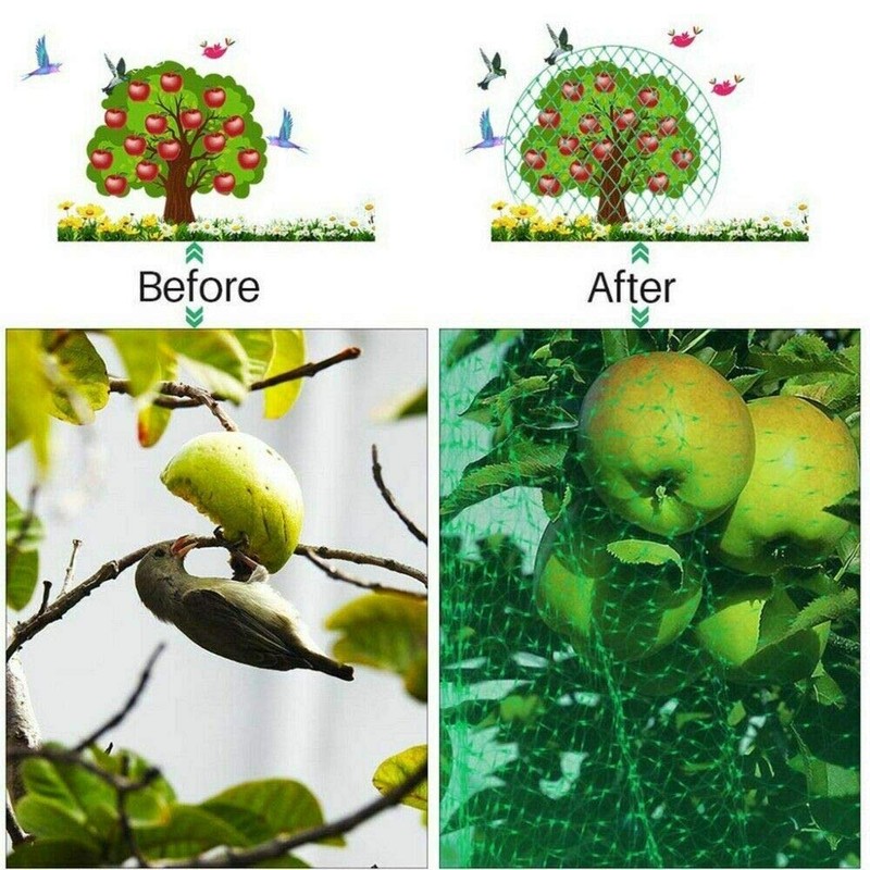 A1SONIC® 2m x 10m Garden Netting (1)