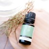 ECO. Modern Essentials Thyme Pure Essential Oil, 10ml