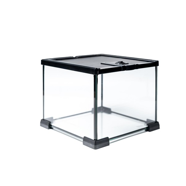 Repticircle Gallon Full Glass Reptile Tank, Medium Terrarium for Gecko,