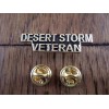 U.S MILITARY DESERT STORM VETERAN HAT PIN LAPEL PIN DSV