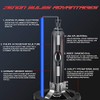 D2S HID Xenon Headlight Bulb 8000K, 12V 35W, Pack of