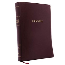 Holy Bible