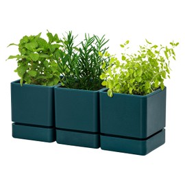 D'vine Dev 4 Inch Herb Planter Pot, Plastic Planter with Drainage Holes and Saucer, Modern Decorative Gardening Pot for Indoor Plants, Flowers, Herbs, Succulents, Green, Set of 3, 76-Y-C-3