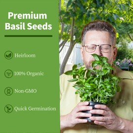 Environet Organic Basil Seeds Pack – 1/2 OZ Pack, Non-GMO, Heirloom, High-Germination, Fresh & Flavorful Herb for Cooking, Garnishing & Gardening